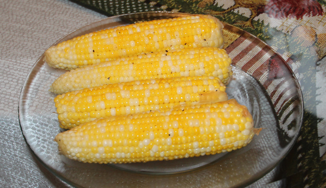 silver-queen-corn